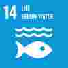Sustainable Development Goal 14 Life below water