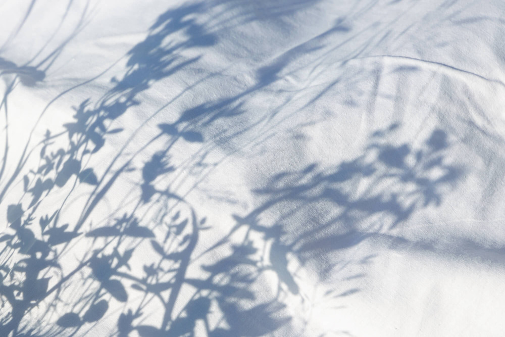 Schatten von Blüten auf einem weißen Baumwoll-Stoff
