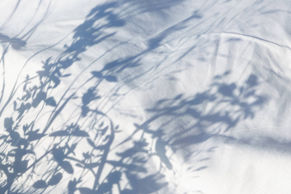 Schatten von Blüten auf einem weißen Baumwoll-Stoff